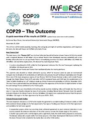 COP29 outcome